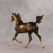 Mixed Message OOAK Arabian Yearling by Anna Rieck VV26