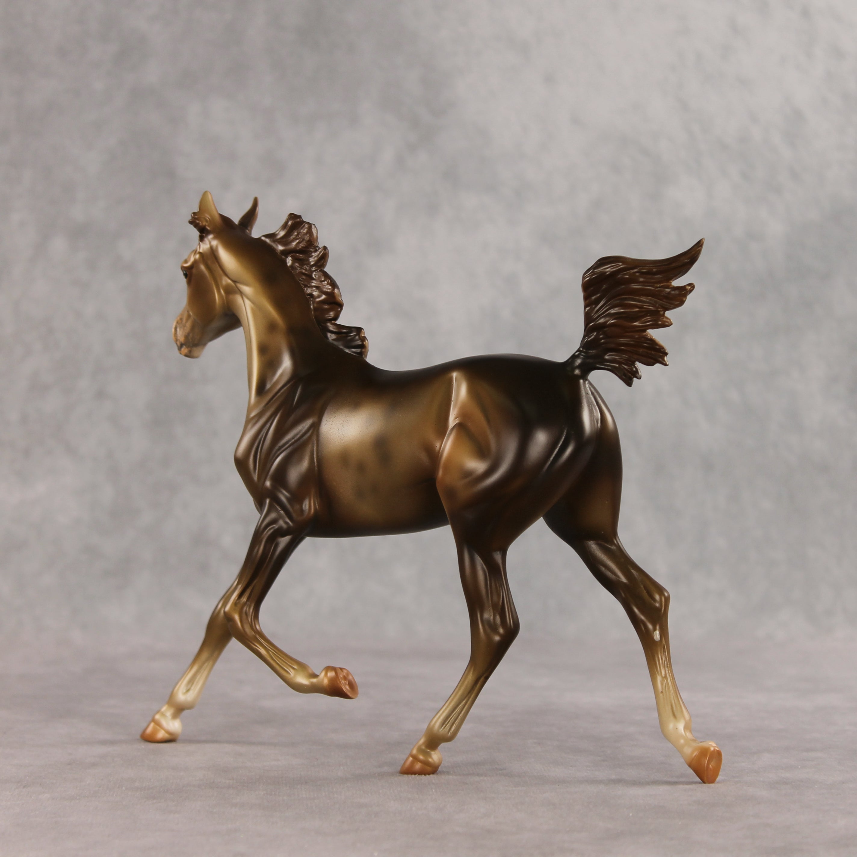Mixed Message OOAK Arabian Yearling by Anna Rieck VV26