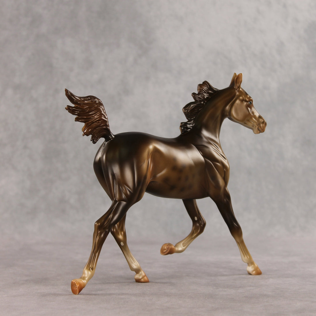 Mixed Message OOAK Arabian Yearling by Anna Rieck VV26