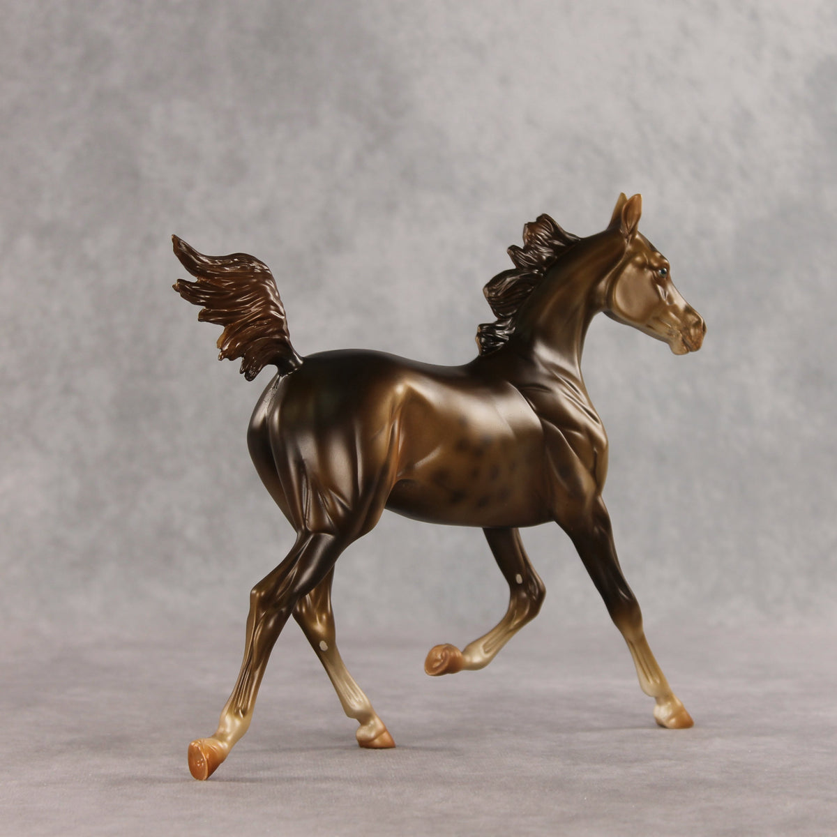 Mixed Message OOAK Arabian Yearling by Anna Rieck VV26