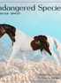Mocha Storm LE-5 Pony by Enrique Duarte ES26