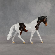 Mocha Storm LE-5 Pony by Enrique Duarte ES26