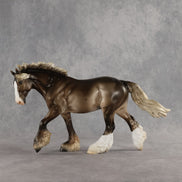 Mocha Chip OOAK FCM Irish Cob by Ashley Palmer SHCF26