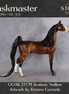 Taskmaster OOAK EFCM Arabian Stallion by Kristen Cermele Best Offer 9.8.2026