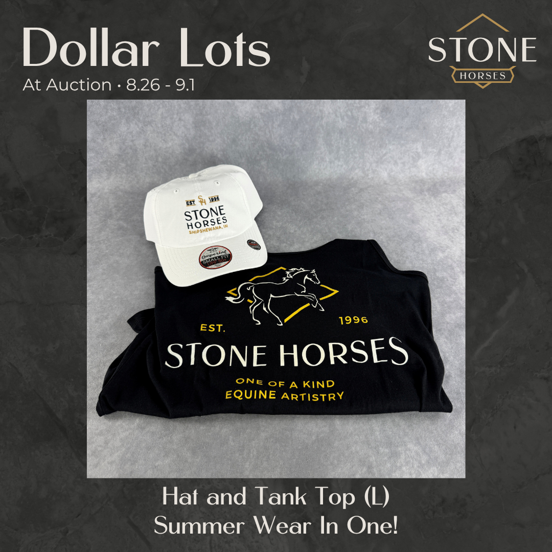 Dollar Auctions: Hat and Tank Top 8.26.2026