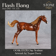 Flash Bang OOAK EFCM Chip Arabian by Tegan Davis Best Offer 9.8.2026