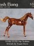 Flash Bang OOAK EFCM Chip Arabian by Tegan Davis Best Offer 9.8.2026