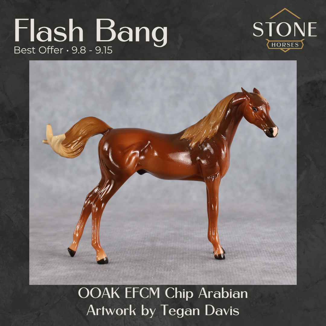 Flash Bang OOAK EFCM Chip Arabian by Tegan Davis Best Offer 9.8.2026
