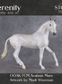 Serenity OOAK FCM Arabian Mare by Madi Wiseman Best Offer 8.26.2026