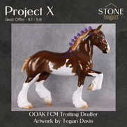 Project X OOAK FCM Trotting Drafter by Tegan Davis Best Offer 9.1.2026