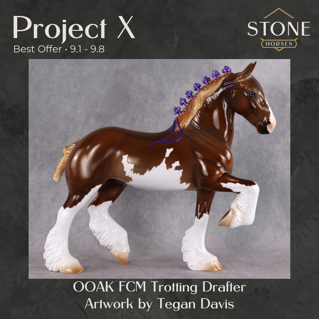 Project X OOAK FCM Trotting Drafter by Tegan Davis Best Offer 9.1.2026