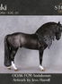 Enki OOAK FCM Andalusian by Jess Hamill Best Offer 8.26.2026