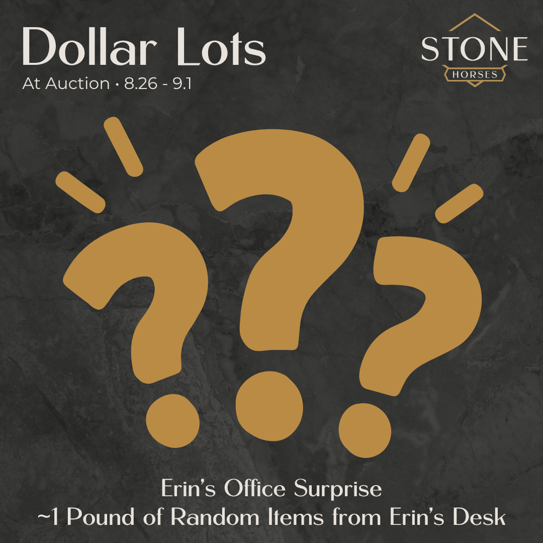 Dollar Auctions: Erin's Office Surprises 8.26.2026