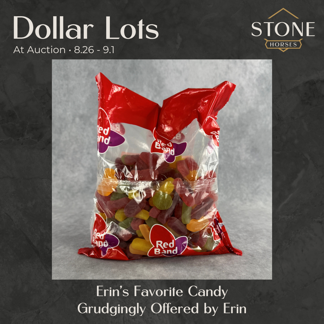 Dollar Auctions: Erin's Favorite Candy 8.26.2026