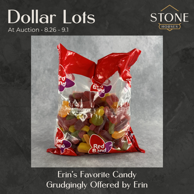 Dollar Auctions: Erin's Favorite Candy 8.26.2026