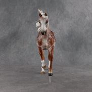 Moonlight Archer OOAK FCM Harmony by Ashley Palmer 6.12.2026 GS26