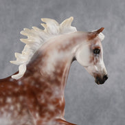 Moonlight Archer OOAK FCM Harmony by Ashley Palmer 6.12.2026 GS26
