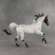 Pas de Cheval LE-6 FCM Harmony by Ashley Palmer EQ26