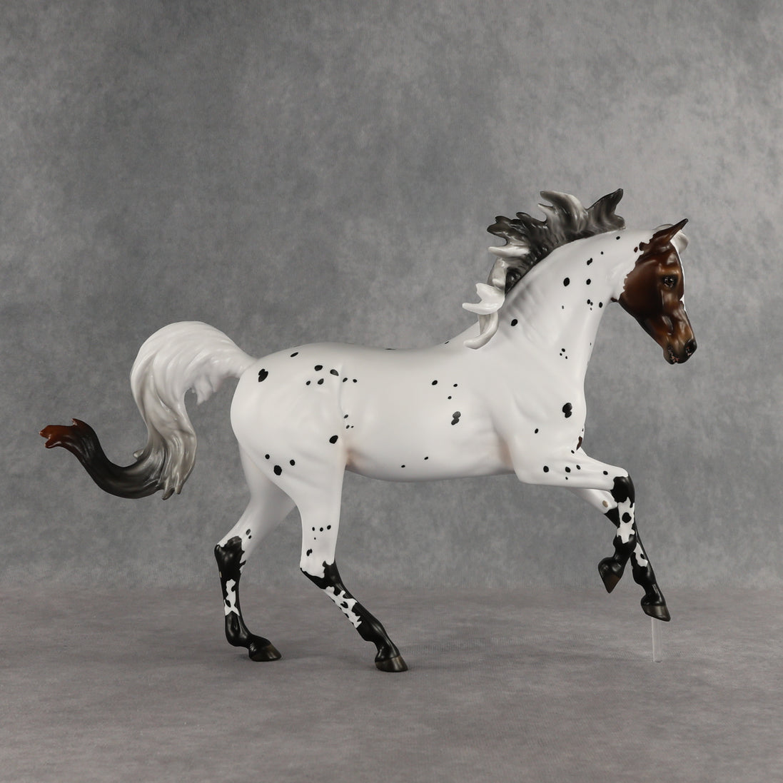 Pas de Cheval LE-6 FCM Harmony by Ashley Palmer EQ26