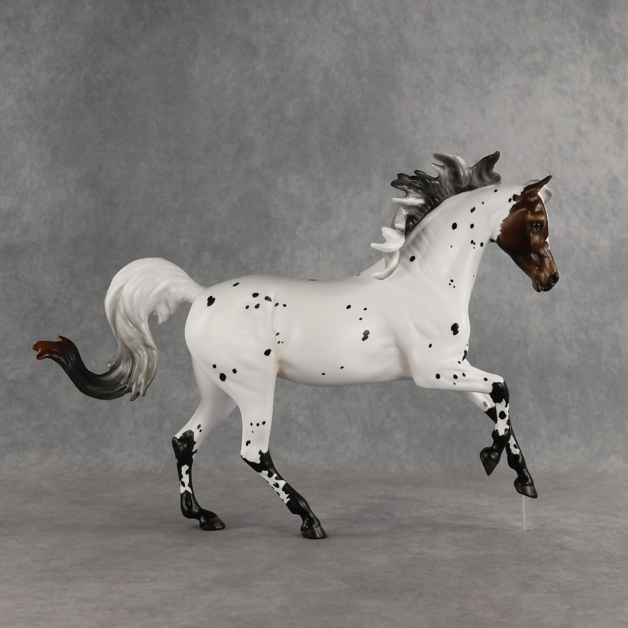 Pas de Cheval LE-6 FCM Harmony by Ashley Palmer EQ26