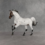 Pas de Cheval LE-6 FCM Harmony by Ashley Palmer EQ26