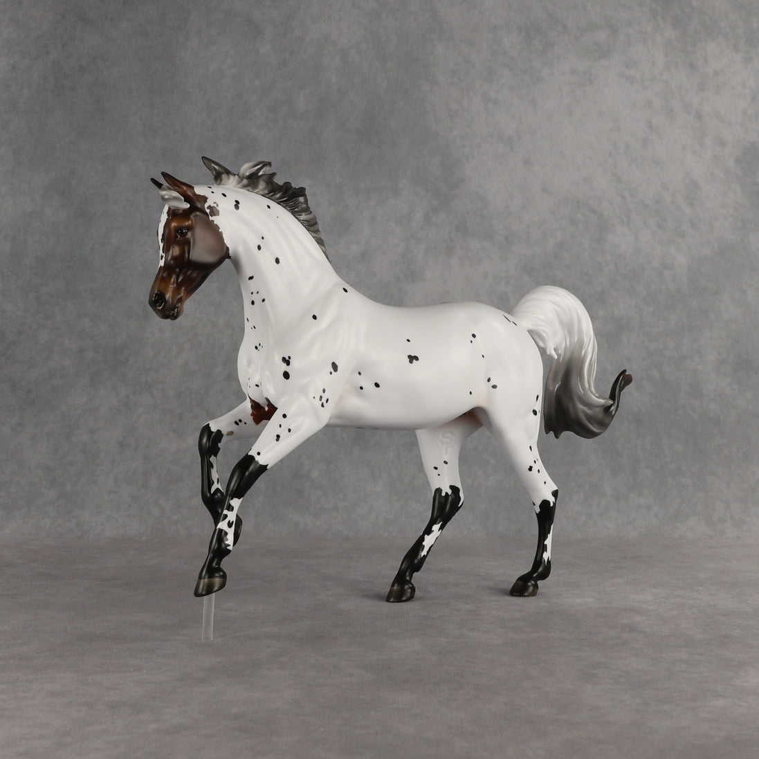 Pas de Cheval LE-6 FCM Harmony by Ashley Palmer EQ26