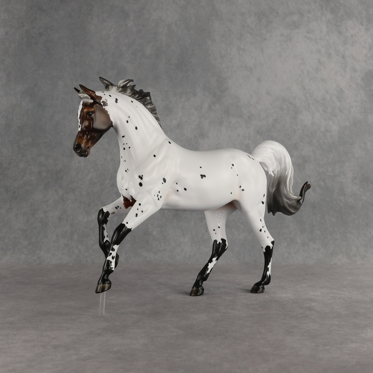 Pas de Cheval LE-6 FCM Harmony by Ashley Palmer EQ26