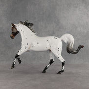 Pas de Cheval LE-6 FCM Harmony by Ashley Palmer EQ26