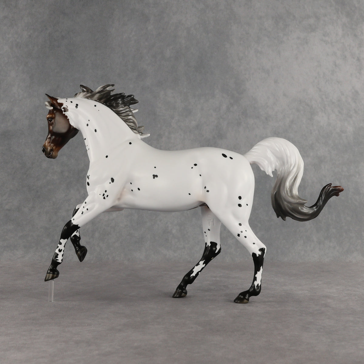 Pas de Cheval LE-6 FCM Harmony by Ashley Palmer EQ26