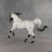 Pas de Cheval LE-6 FCM Harmony by Ashley Palmer EQ26