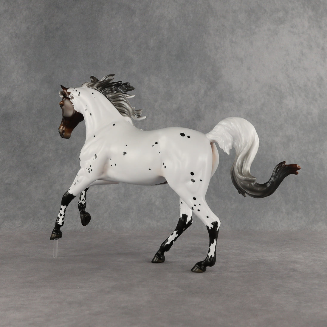 Pas de Cheval LE-6 FCM Harmony by Ashley Palmer EQ26