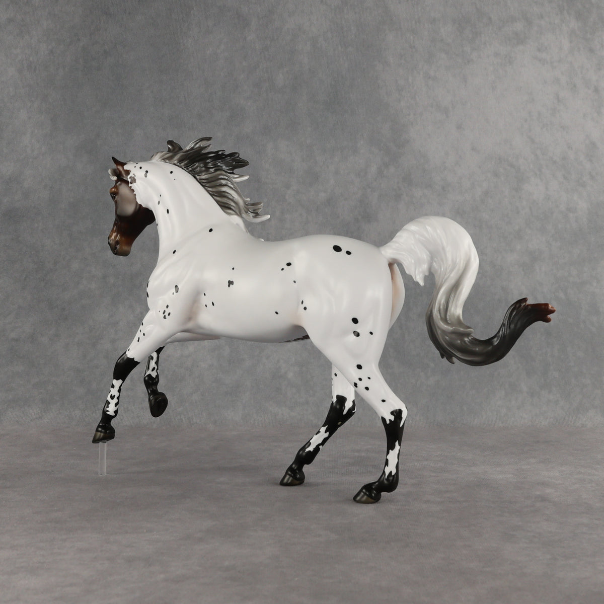 Pas de Cheval LE-6 FCM Harmony by Ashley Palmer EQ26