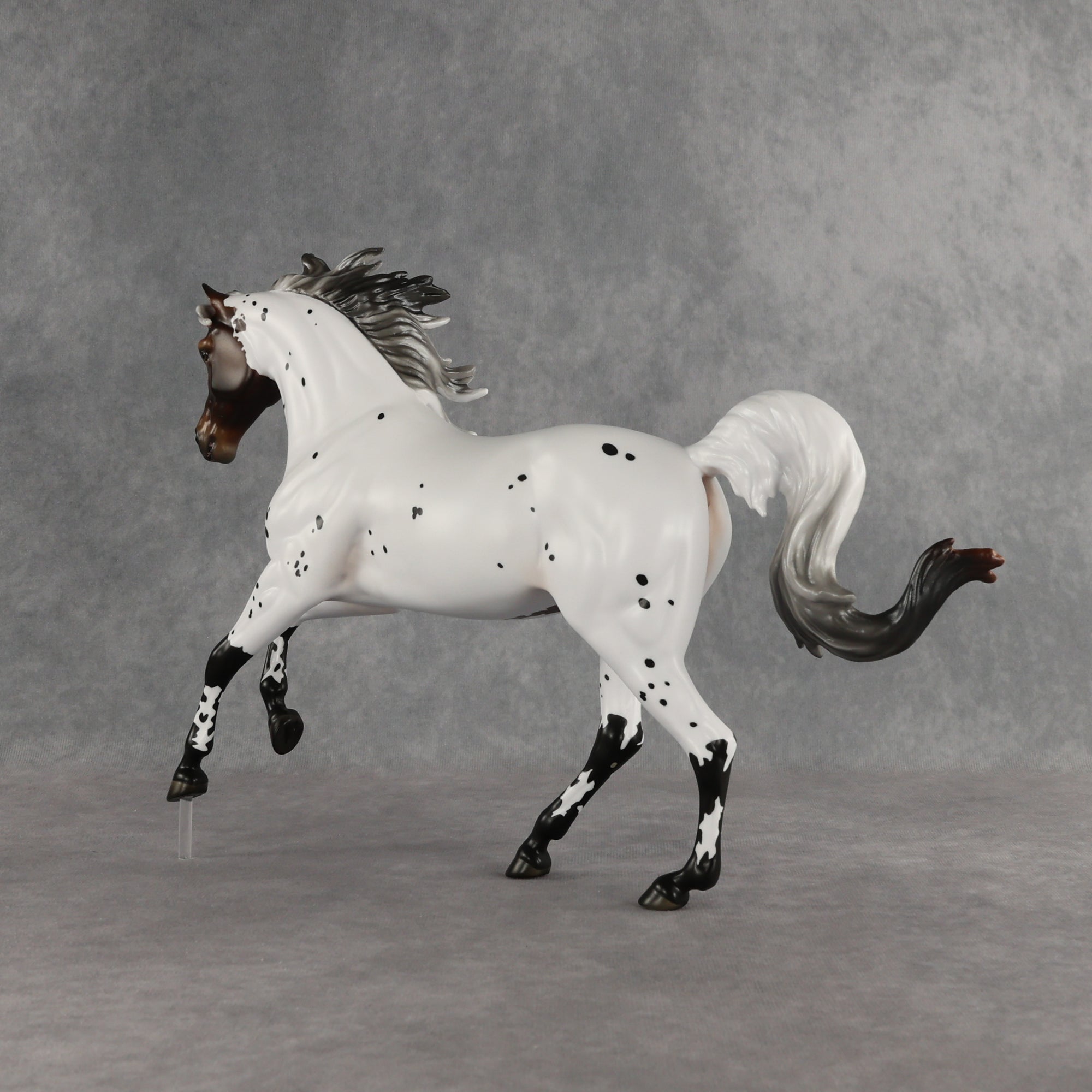 Pas de Cheval LE-6 FCM Harmony by Ashley Palmer EQ26