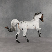 Pas de Cheval LE-6 FCM Harmony by Ashley Palmer EQ26