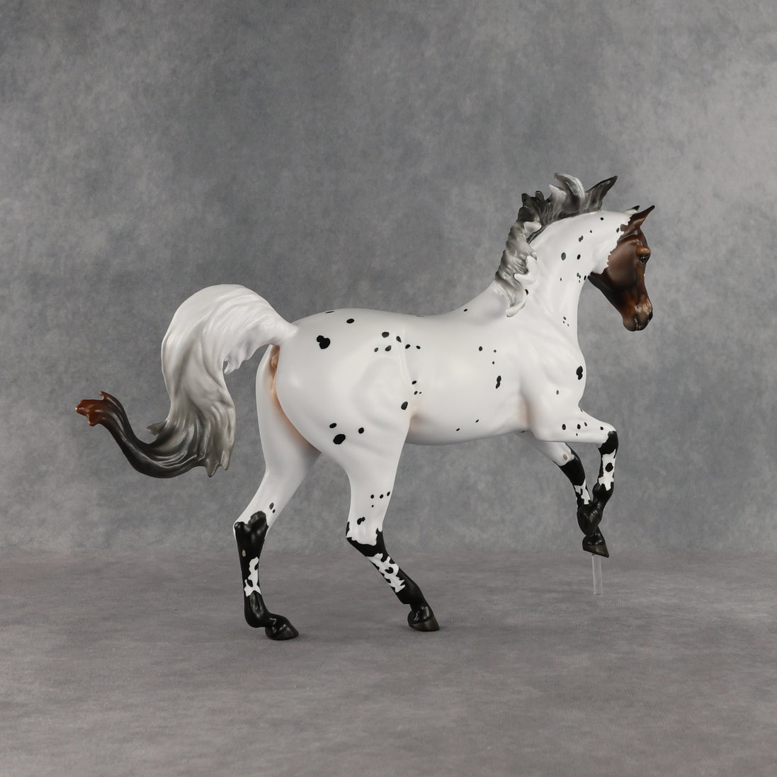 Pas de Cheval LE-6 FCM Harmony by Ashley Palmer EQ26