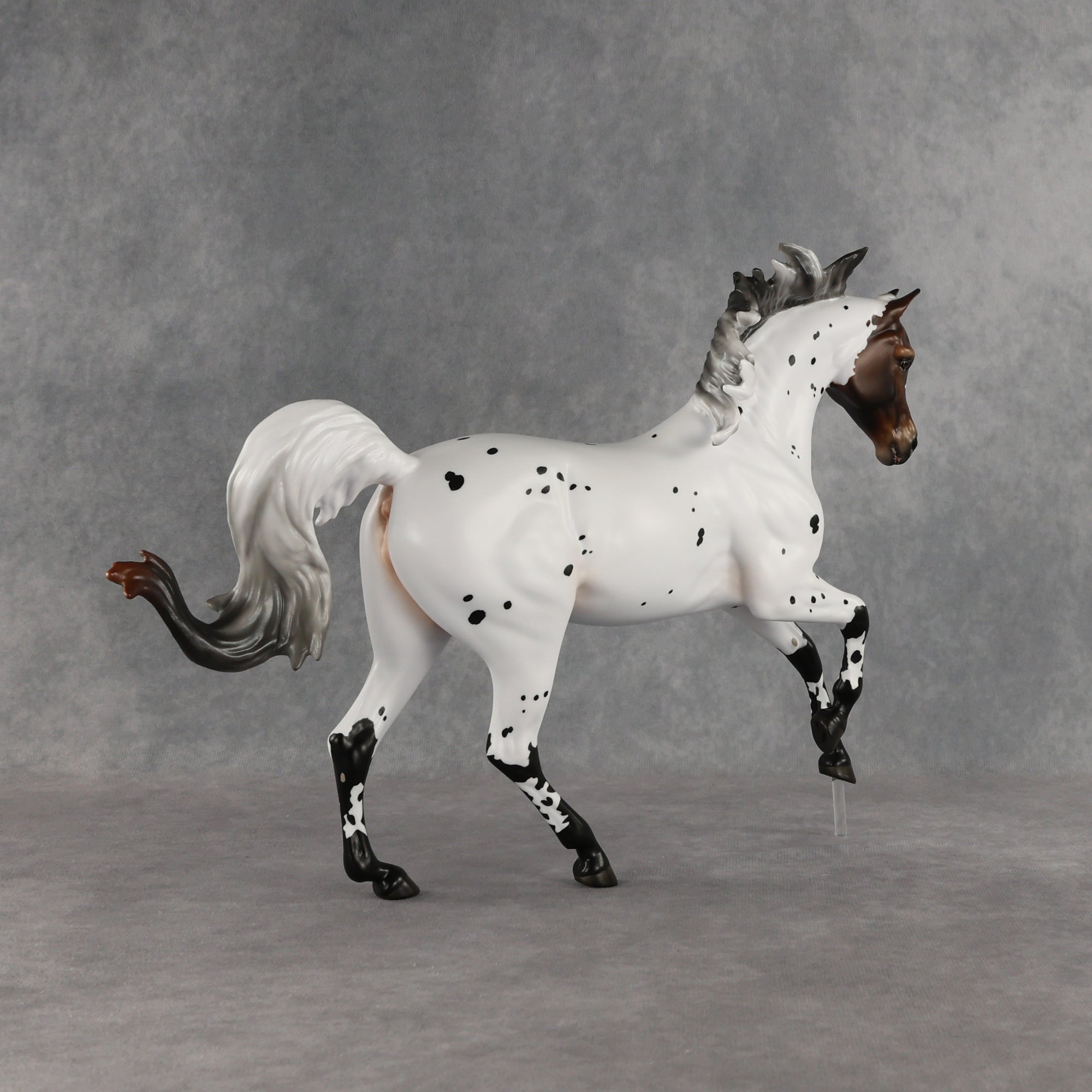 Pas de Cheval LE-6 FCM Harmony by Ashley Palmer EQ26