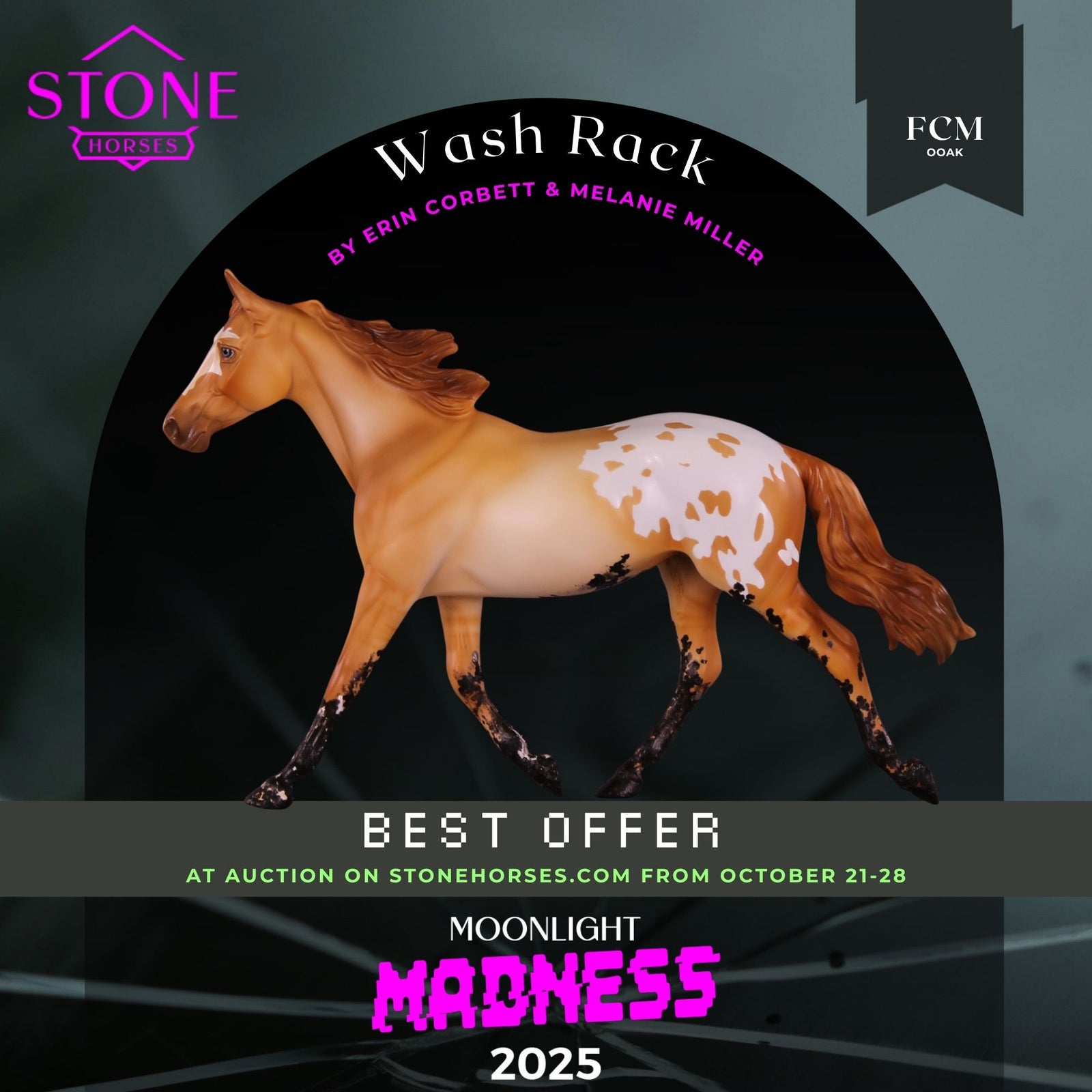 Wash Rack OOAK FCM Palouse by Erin Corbett MM25