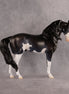Moonlight Glow OOAK FCM Andalusian by Madi Wiseman EQ26
