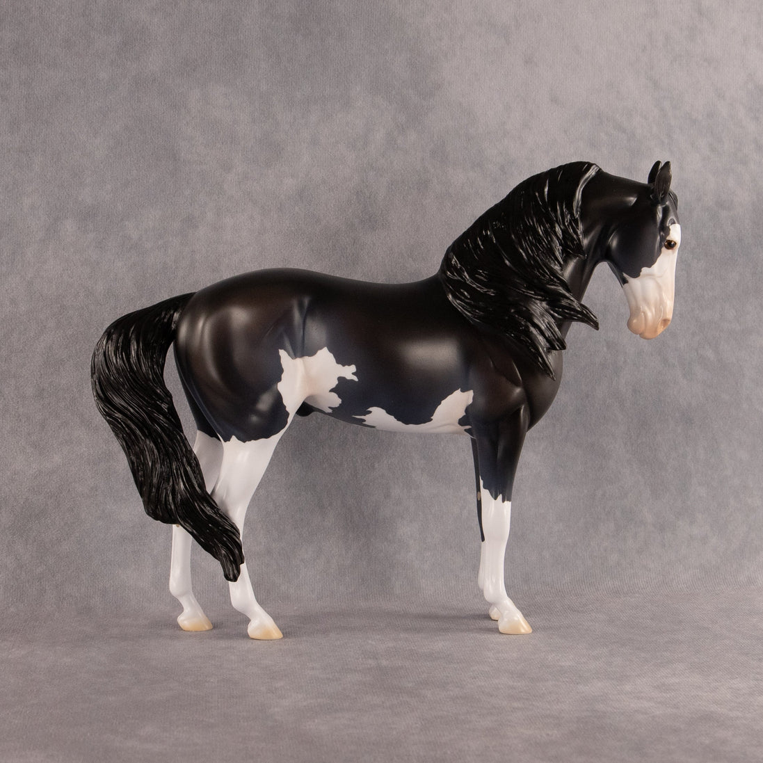 Moonlight Glow OOAK FCM Andalusian by Madi Wiseman EQ26