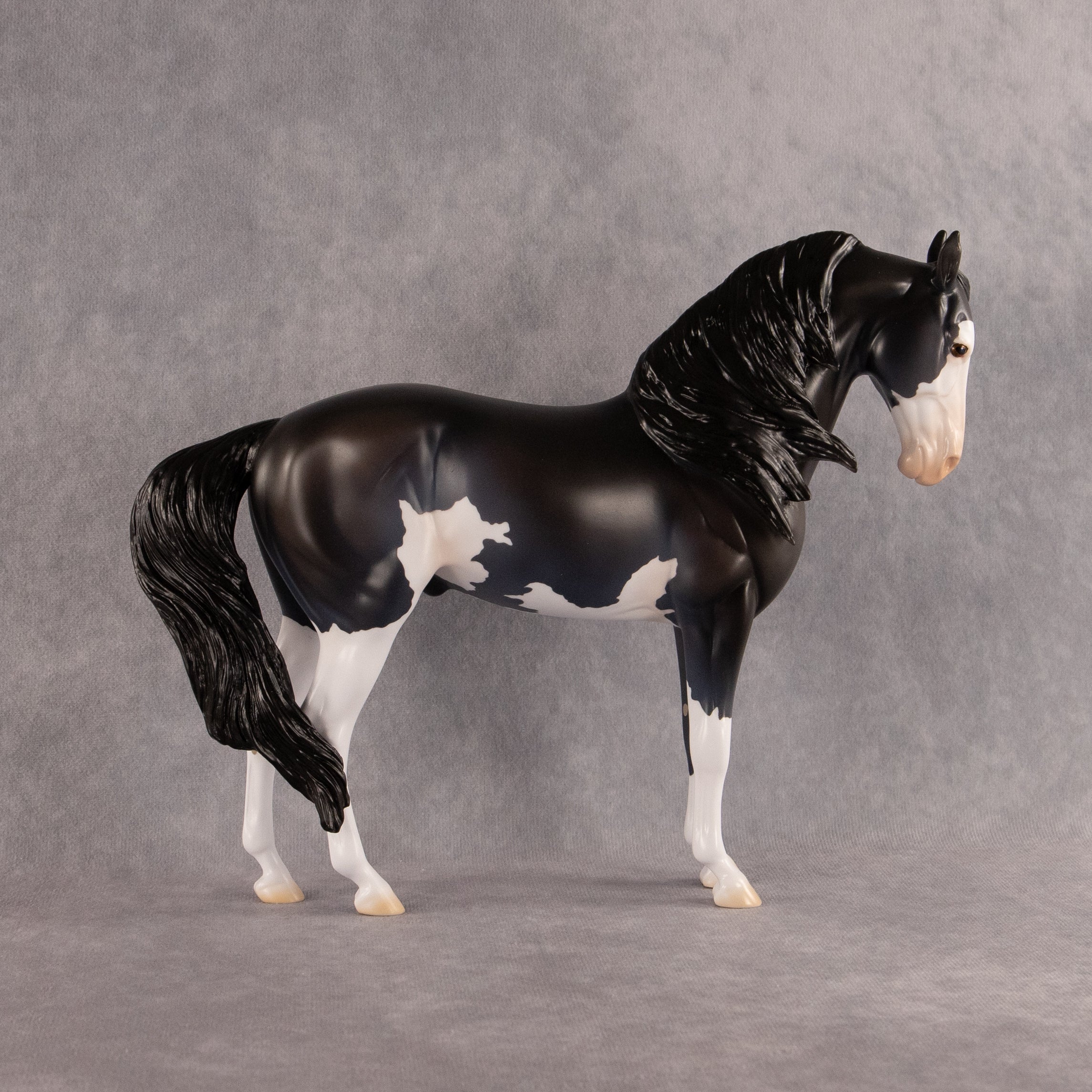 Moonlight Glow OOAK FCM Andalusian by Madi Wiseman EQ26