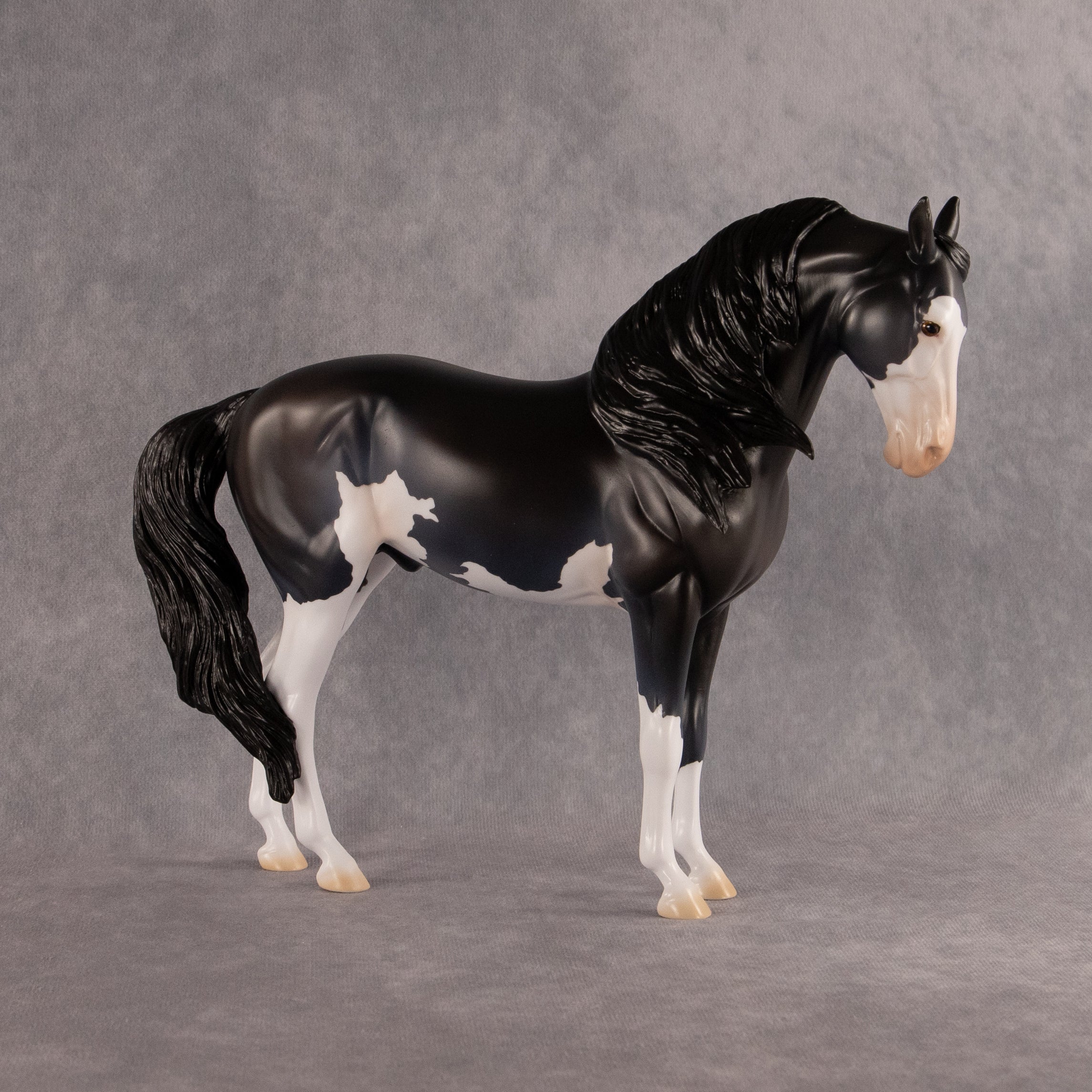 Moonlight Glow OOAK FCM Andalusian by Madi Wiseman EQ26