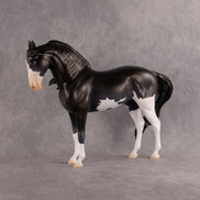 Moonlight Glow OOAK FCM Andalusian by Madi Wiseman EQ26