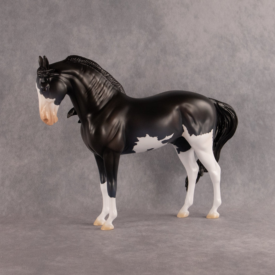 Moonlight Glow OOAK FCM Andalusian by Madi Wiseman EQ26