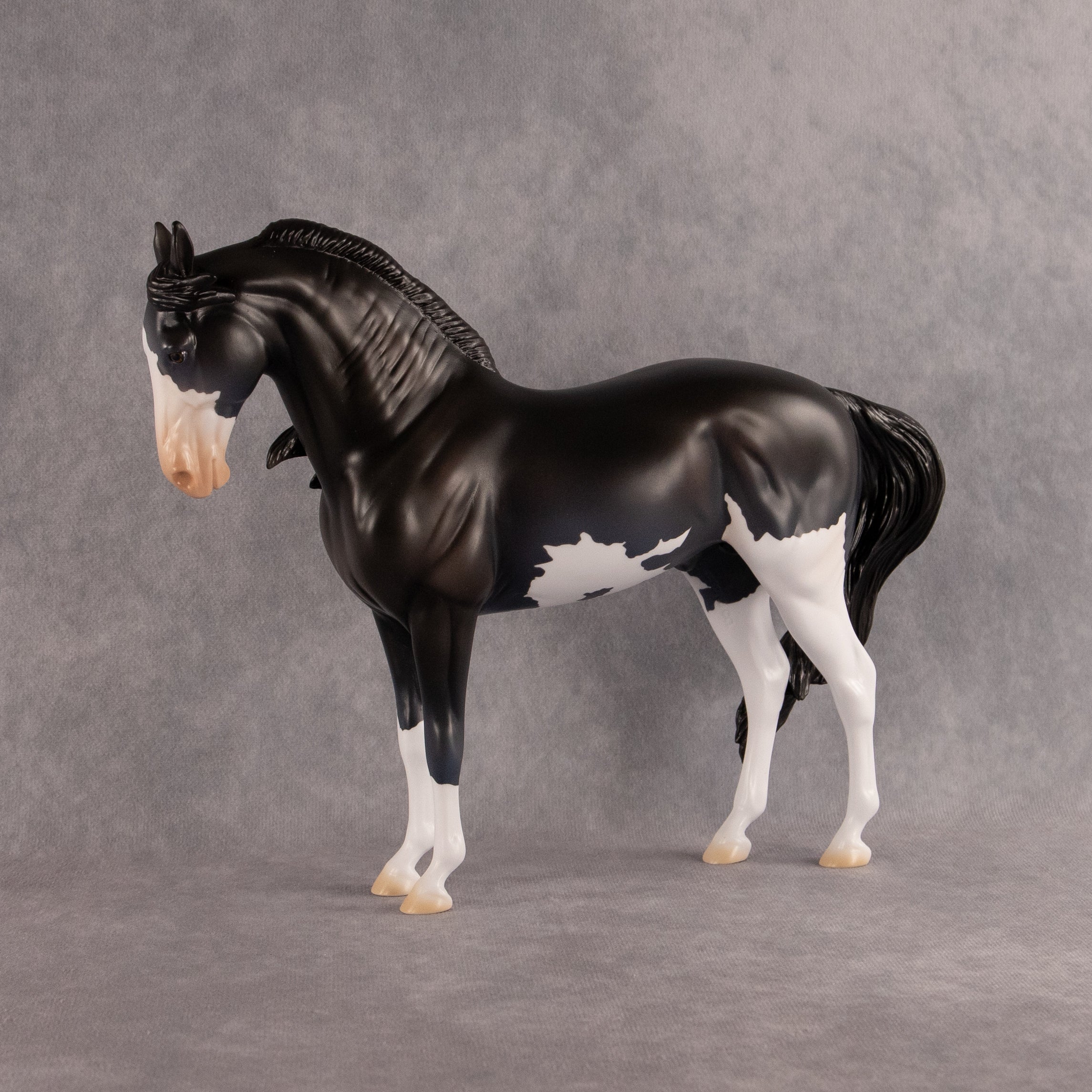 Moonlight Glow OOAK FCM Andalusian by Madi Wiseman EQ26