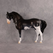 Moonlight Glow OOAK FCM Andalusian by Madi Wiseman EQ26