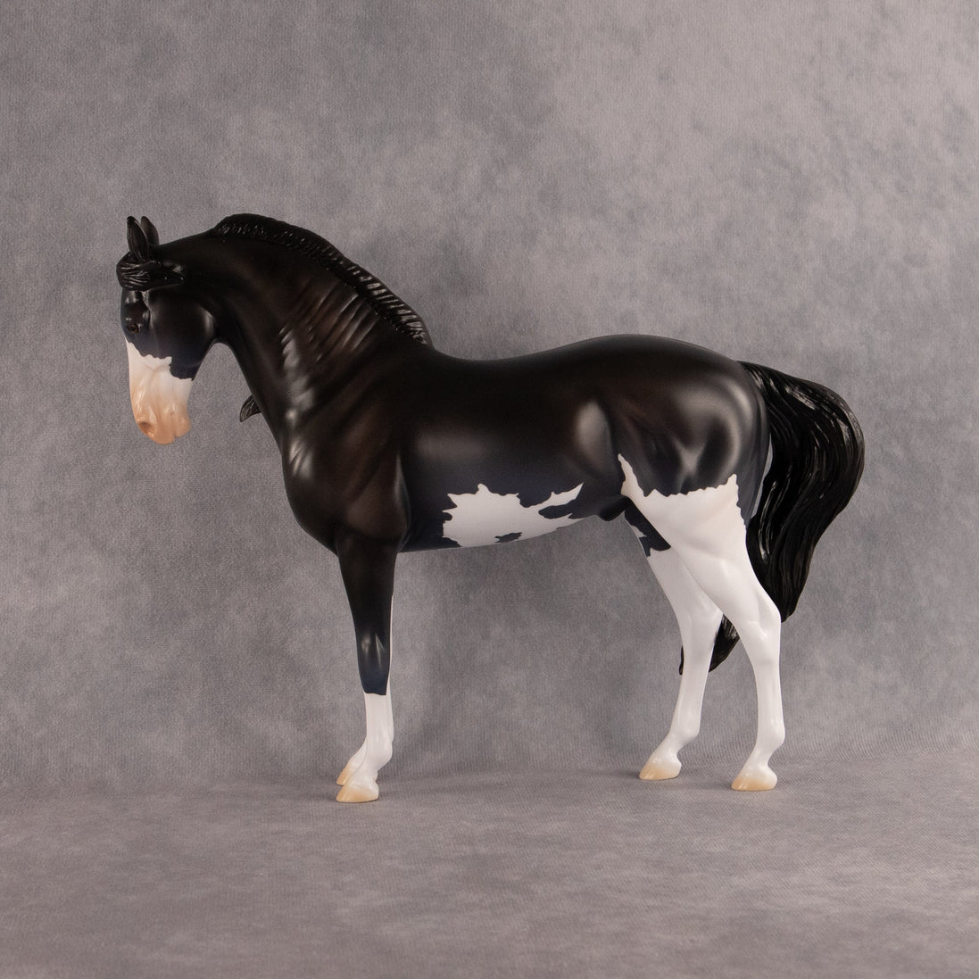 Moonlight Glow OOAK FCM Andalusian by Madi Wiseman EQ26