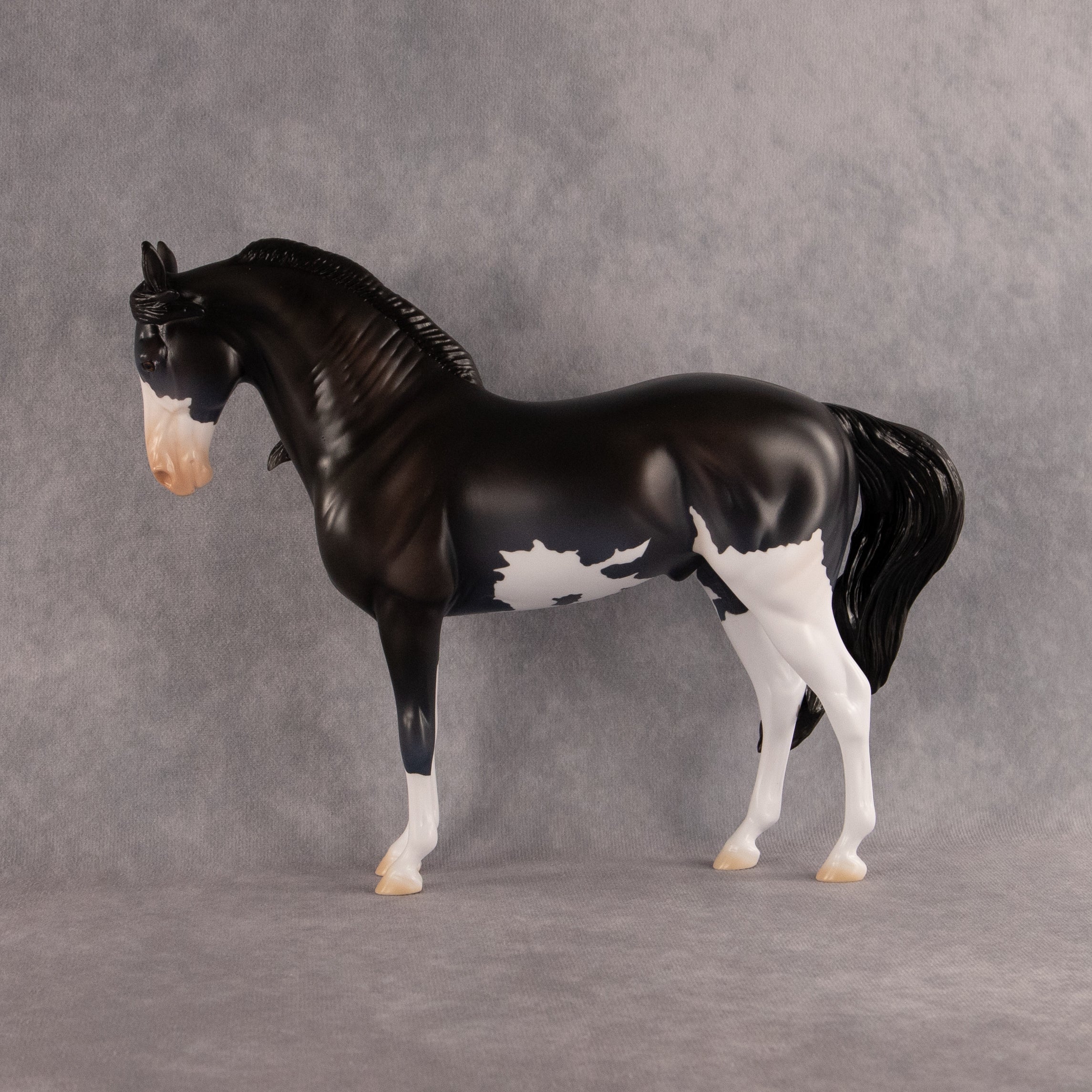 Moonlight Glow OOAK FCM Andalusian by Madi Wiseman EQ26