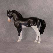Moonlight Glow OOAK FCM Andalusian by Madi Wiseman EQ26