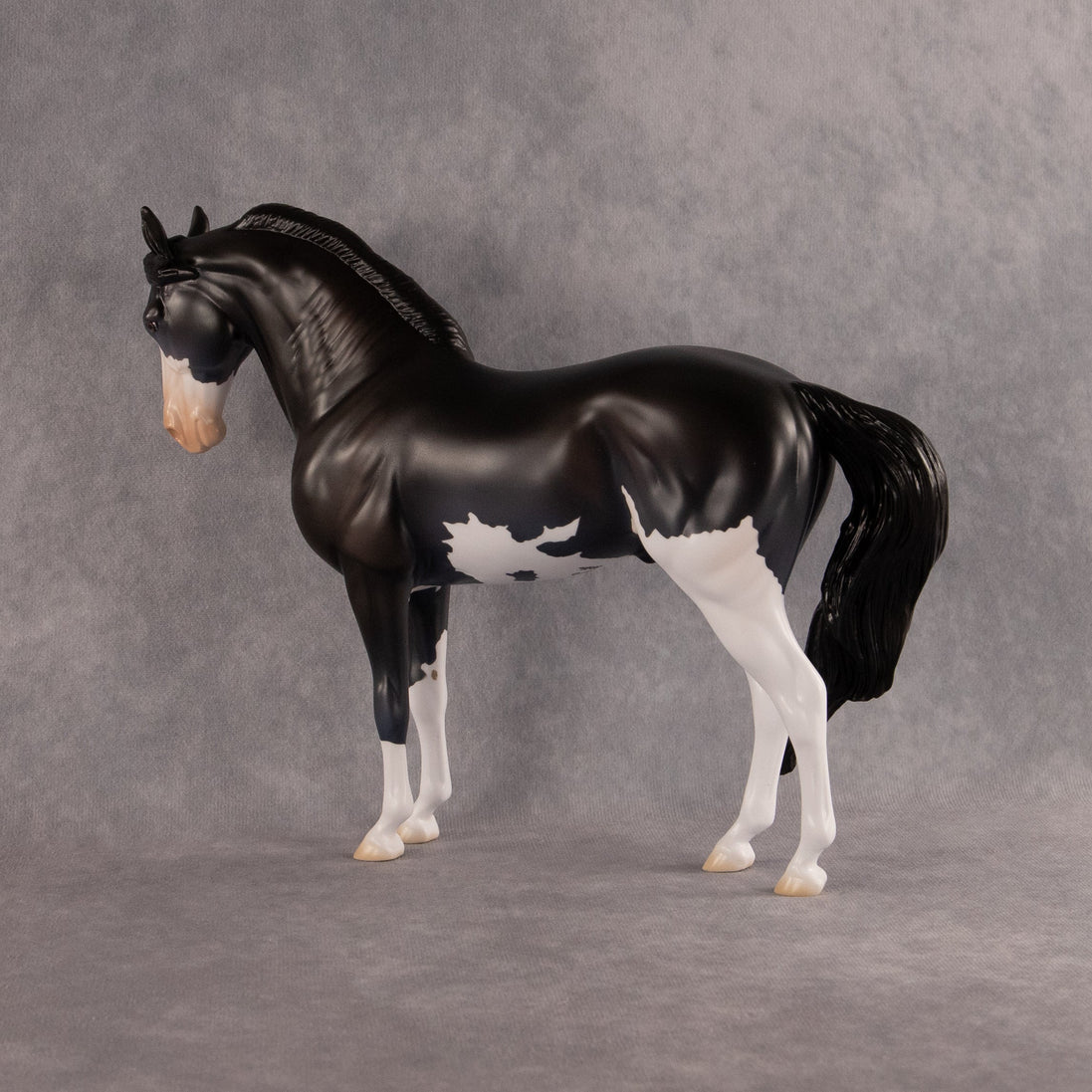 Moonlight Glow OOAK FCM Andalusian by Madi Wiseman EQ26