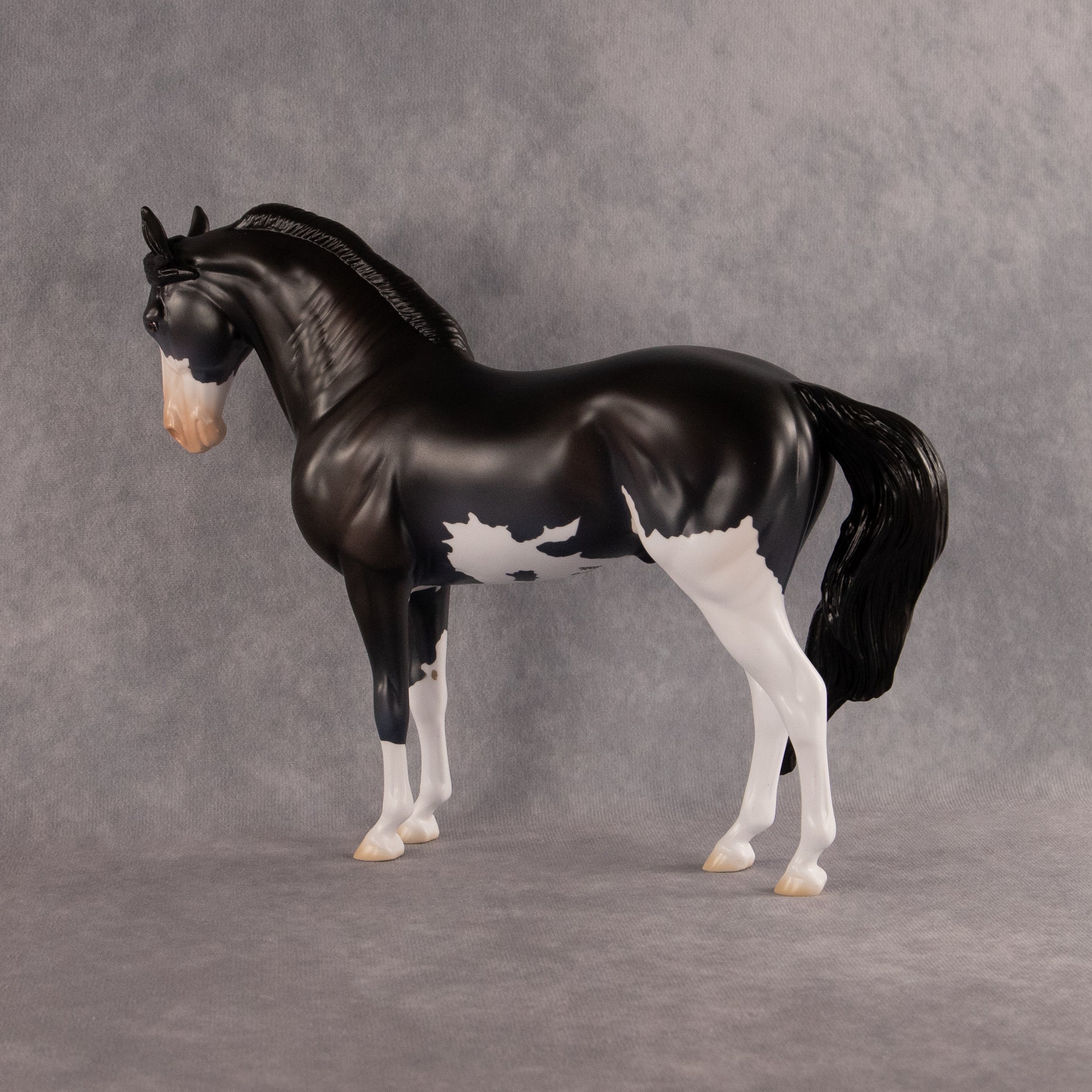 Moonlight Glow OOAK FCM Andalusian by Madi Wiseman EQ26